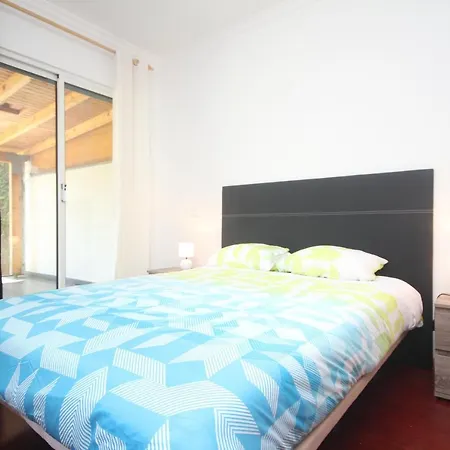 Atlantic Palm Garden